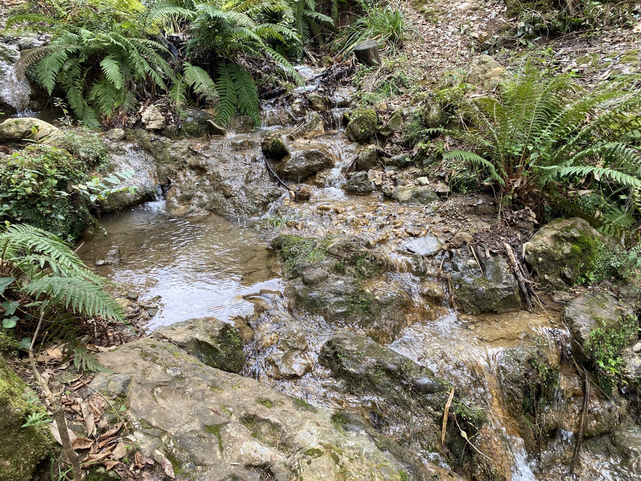 Torrente dell'acqua viva, Portofino